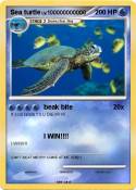 Sea turtle