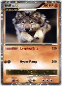 Wolf