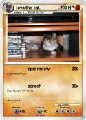 lova the cat.