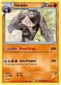 Harambe