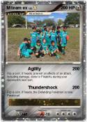 M team ex