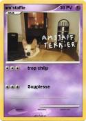 am'staffie