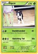 Pupchi
