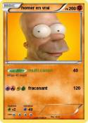homer en vrai