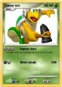Hamer bro