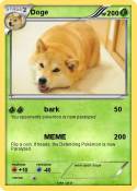 Doge