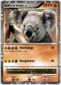 koko le koala