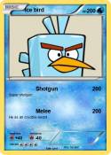Ice bird