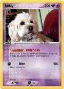 Maizy