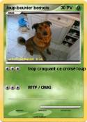loup-bouvier