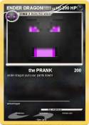 ENDER DRAGON!!!