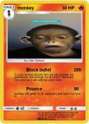 monkey