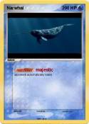 Narwhal