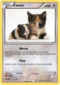 Catster
