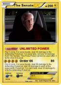 The Senate