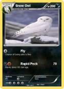 Snow Owl