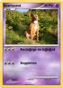 bearhound