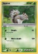 Squirrel