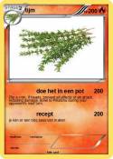 tijm