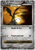 REX Dragon