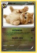 kitty cat
