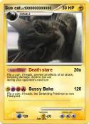 Sus cat
