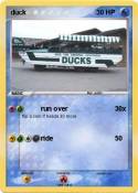 duck