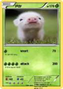 pigy