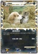 chien
