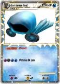dominus hat