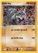 wolfs dog