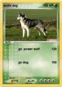 wolfs dog