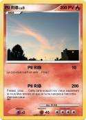 Pil RIB