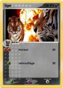 tiger