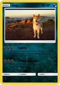 doge