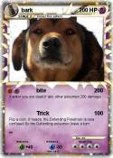 bark