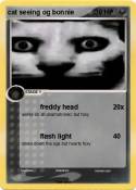 cat seeing og