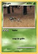 loup gris