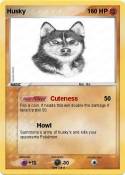Husky