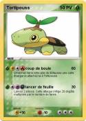 Tortipouss
