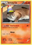 Birthday Cat