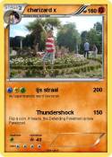charizard x