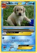 the dog