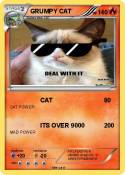 GRUMPY CAT
