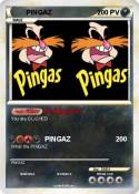 PINGAZ
