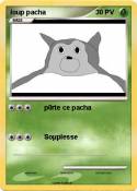 loup pacha