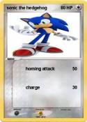 sonic the hedge