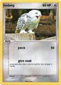 hedwig