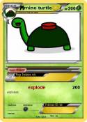 mine turtle
