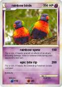 rainbow birds
